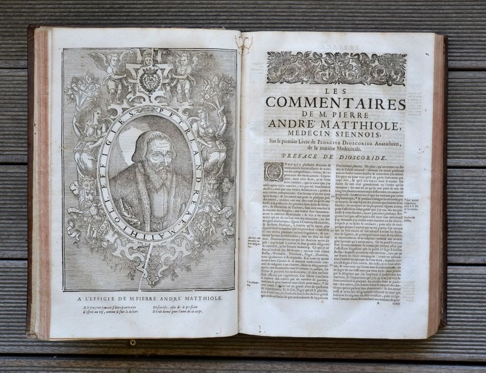 Les commentaires sur les dix livres de la matière médicinale de Peda-cius Dioscoride, Anazarbéen. Traduits de latin en françois, par M. An-toine du Pinet: et enrichis de nouveau d'un nombre considérable de figures; et augmentez tant de plusieurs remèdes à diverses sortes de maladies: comme aussi d'un traité de chymie en abrégé, pour l'ana-lyse, tant des végétaux que de quelques animaux & minéraux, par un docteur en médecine. Dernière édition, reveuë, corrigée & mise dans un meilleur langage: avec deux tables latine & françoise.