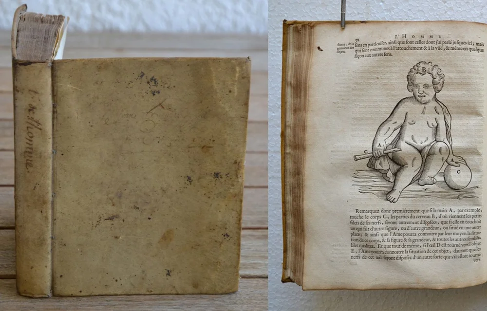 Les traitez de l’homme et de la formation du fœtus, composés par Mr Descartes, & mis au jour depuis sa mort, par Mr Clerselier. Avec des remarques de Louys de La Force, Docteur en Médecine, sur le Traité de l’Homme du même auteur, & sur les figures par lui inventées.