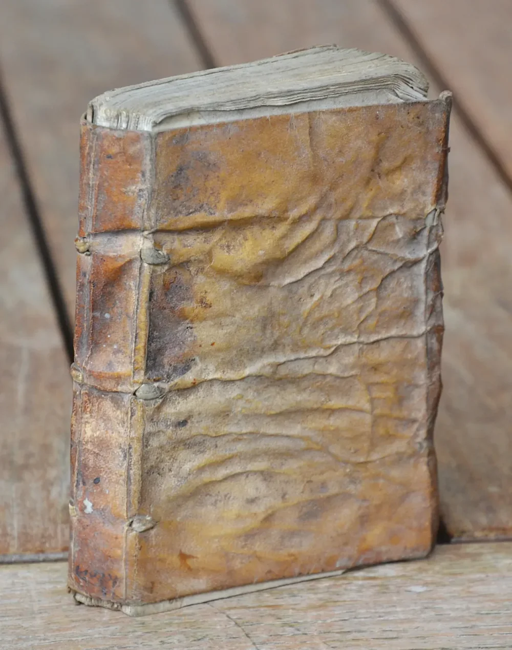 Accord de plusieurs passages des Sainctes Escritures, qui semblent en apparence discordans : avec déclaration familière d’iceux.
Revue & augmenté outre la précédente édition.
La table des passages accordez en ce présent recueil est mise en la fin du livre. - photo