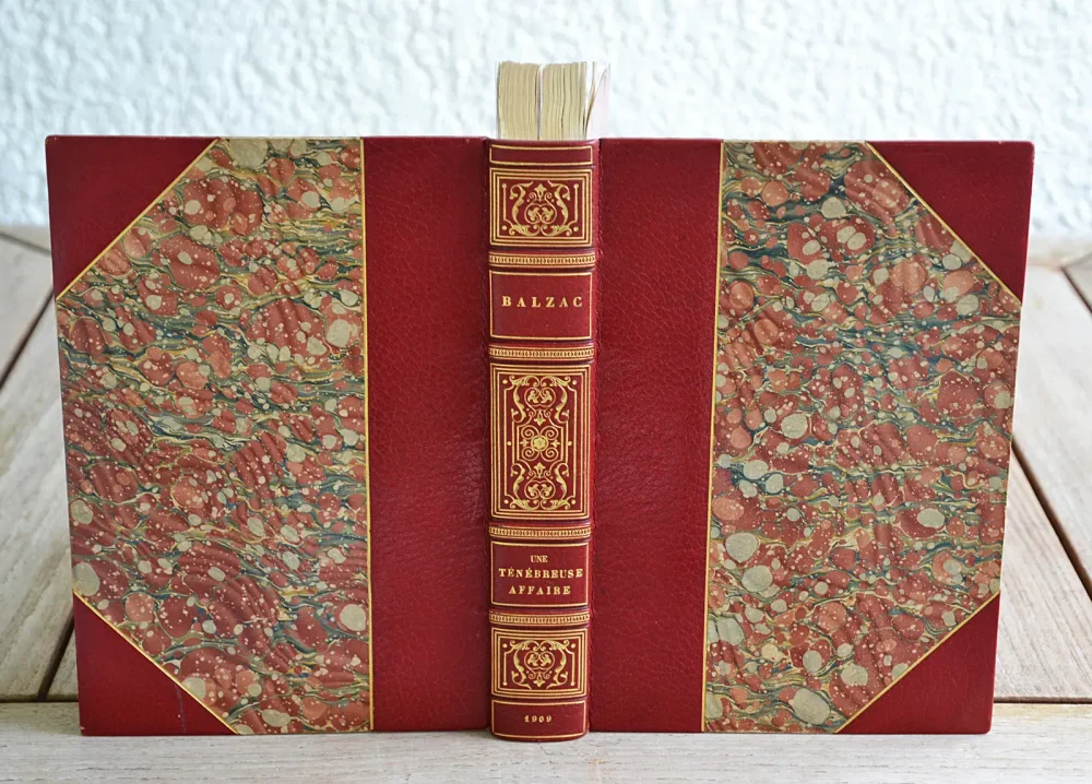 Une ténébreuse affaire. Nouvelle édition illustrée. - photo