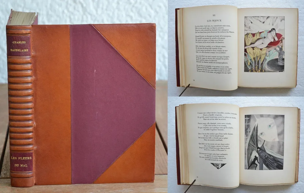 Les fleurs du mal.
Illustrations de Carlo Farneti. - photo