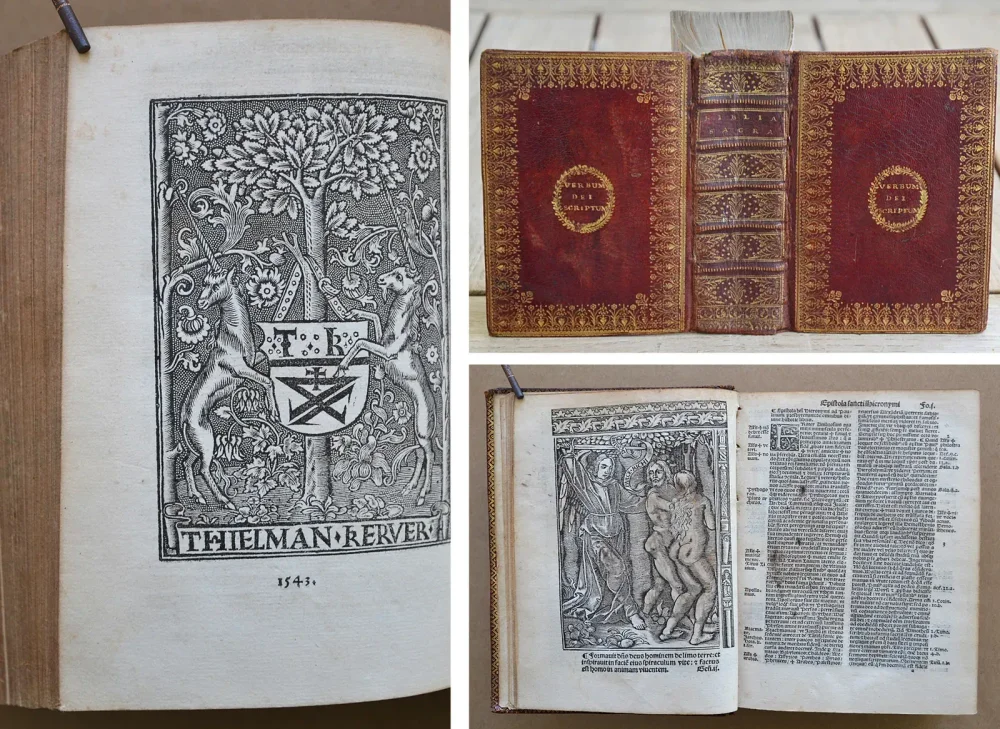 Biblia sacra, integrum utriusque Testamenti corpus complectens, diligenter recognita et emendata. Cul concordantiis simul et argumentis : cumque juris canonici allegationibus passim adnotatis. Insuper in calce ejusdem, annexe sunt nominum Hebraicorum, Chaldeorum, atque Grecorum interpretationes. Huic editioni adjectus est index rerum et sententiarum Veteris et Novi Testamenti. - photo