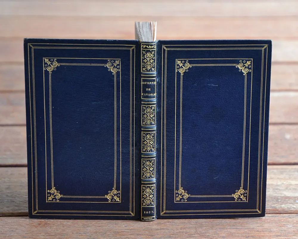 Les plaisantes journées du Sr. Favoral.
Où sont plusieurs rencontres subtiles pour rire en toutes compagnies. - photo