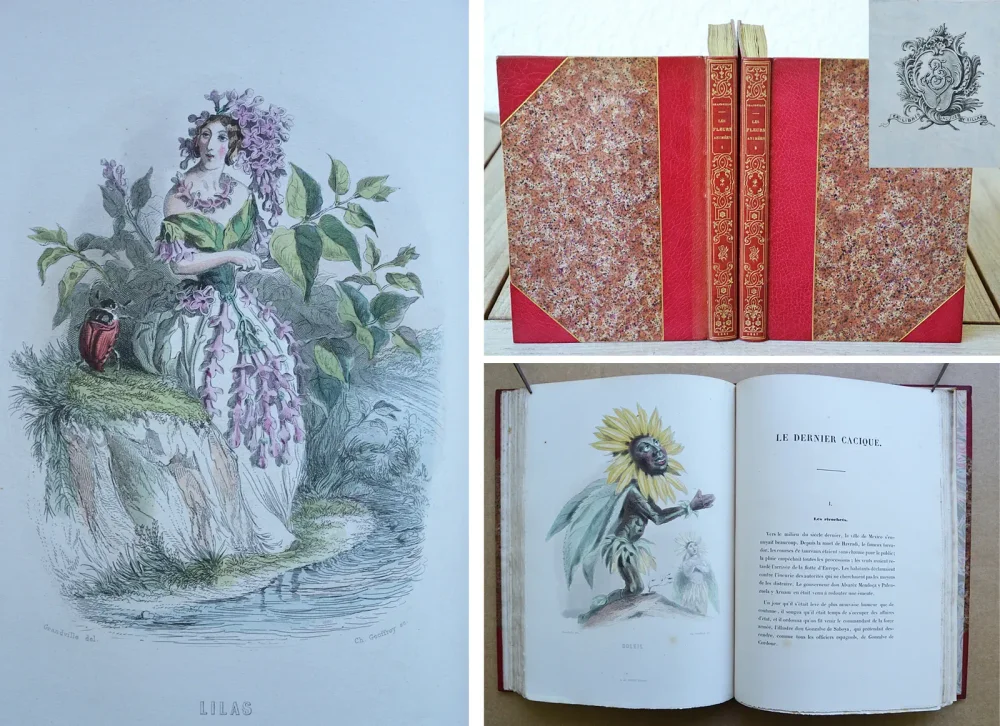 Les fleurs animées [suivi de :] Botanique moderne des dames [suivi de :] Culture des fleurs, horticulture des dames.
Introduction par Alphonse Karr, texte par Taxile Delord. - photo