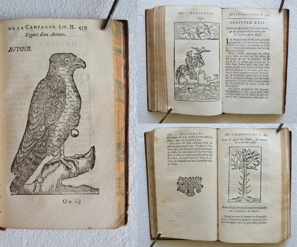 Amusemens de la campagne, ou nouvelles ruses innocentes, qui enseignent la manière de prendre aux pièges toutes sortes d’oiseaux & de bêtes à quatre pieds (…).
Tome premier. - photo