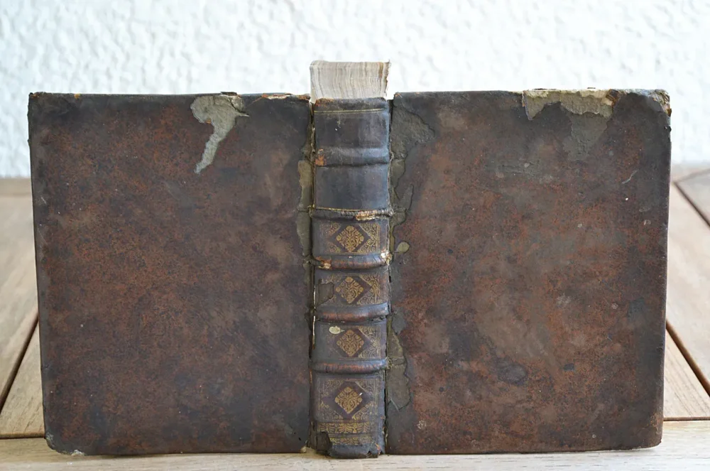 1] Chronique Bordeloise, corrigée & augmentée depuis l’année 1671 jusqu’au passage du Roy d’Espagne & de Nosseigneurs les Princes, les frères, en cette ville l’année 1701.
2] Supplément des Chroniques de la noble ville & cité de Bourdeaux.
3] Continuation à la Chronique Bourdeloise.
4] Privilèges des bourgeois de la ville et cité de Bourdeaux (…). - photo