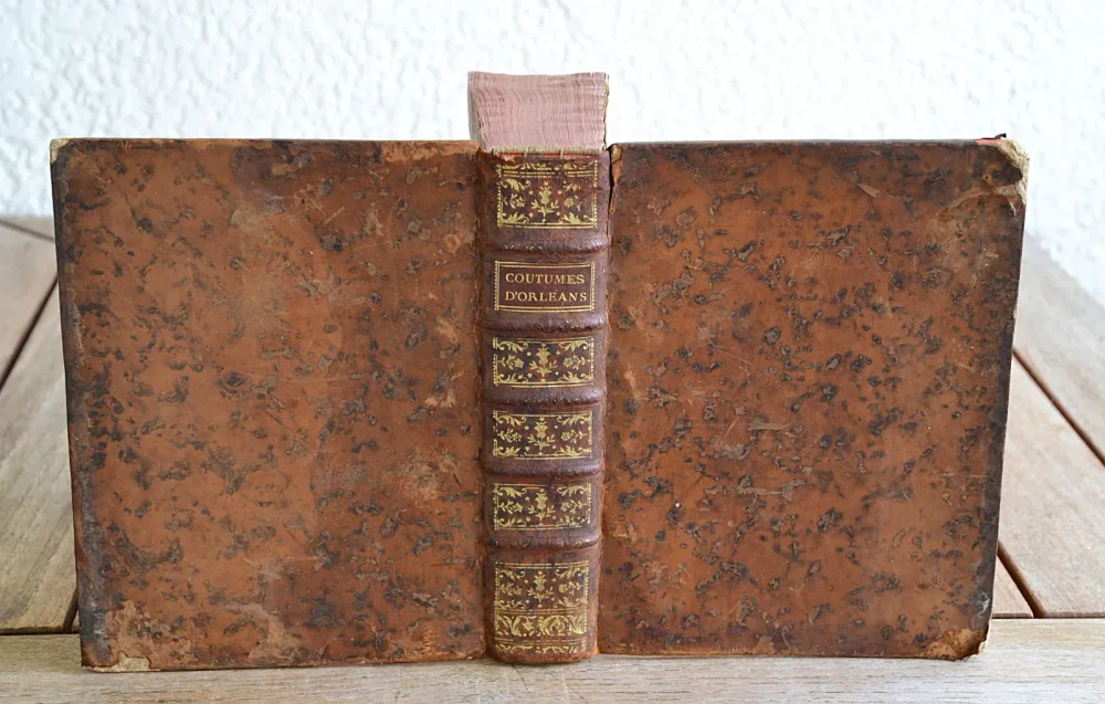 Coutumes des Duché, Bailliage et Prévôté d’Orléans, et ressort d’iceux ; avec une introduction générale aux dites coutumes, & des introductions particulières à la tête de chaque titre, corrigées & augmentées, dans lesquelles les principes des matières contenues dans le titre, sont exposés & développés.
Le texte est accompagné de notes. - photo