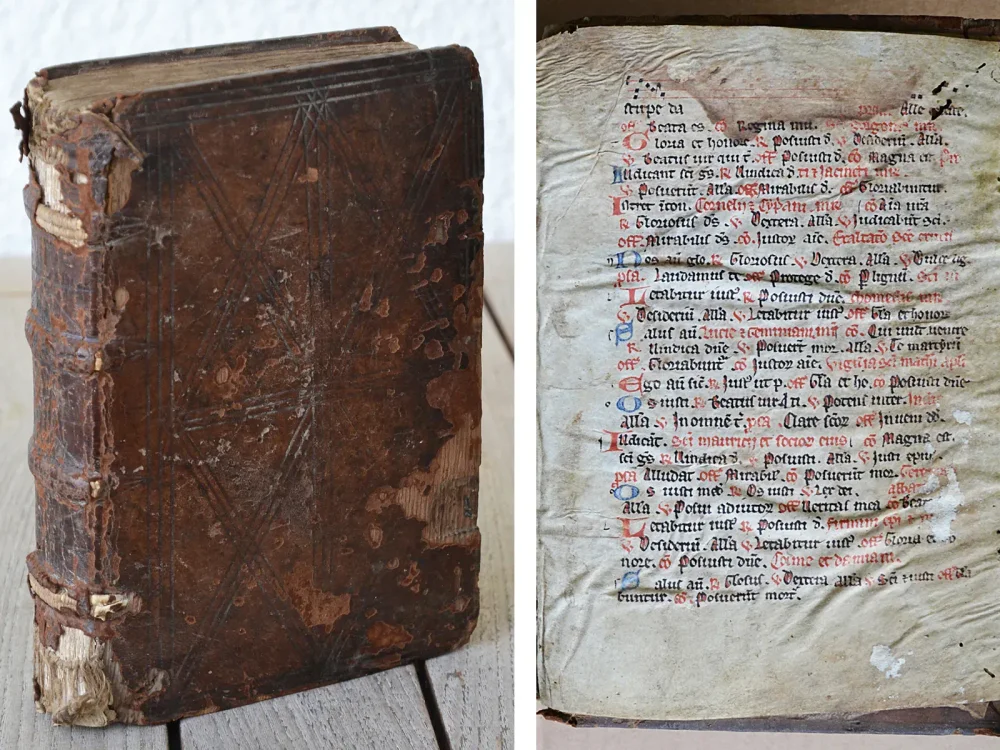 Vitaspatrum. - photo