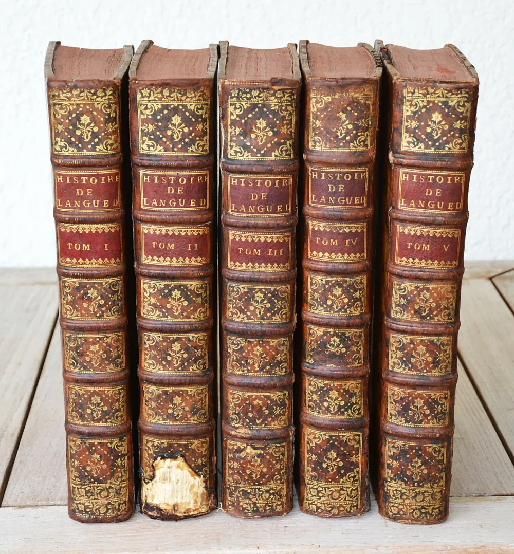 « L’une des meilleures histoires particulières de nos provinces » (Brunet) - photo