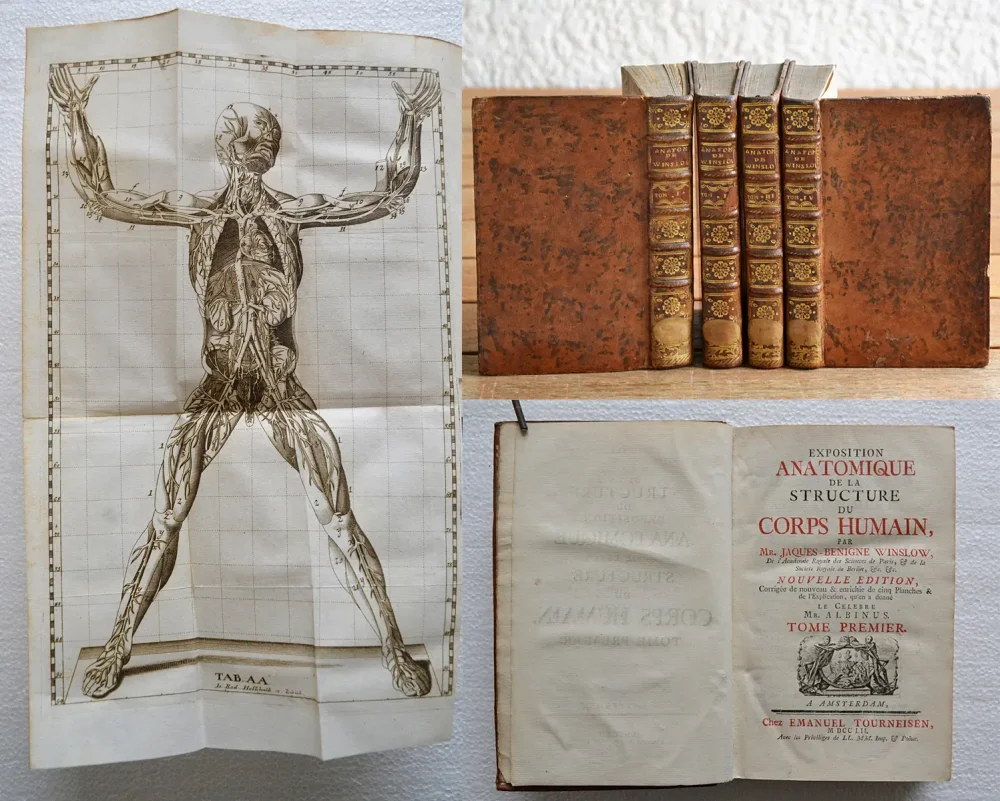 Exposition anatomique de la structure du corps humain.
Nouvelle édition, corrigée de nouveau & enrichie de cinq planches & de l’explication, qu’en a donné le célèbre Mr. Albinus. - photo