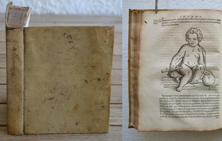 Les traitez de l’homme et de la formation du fœtus, composés par Mr Descartes, & mis au jour depuis sa mort, par Mr Clerselier. Avec des remarques de Louys de La Force, Docteur en Médecine, sur le Traité de l’Homme du même auteur, & sur les figures par lui inventées.