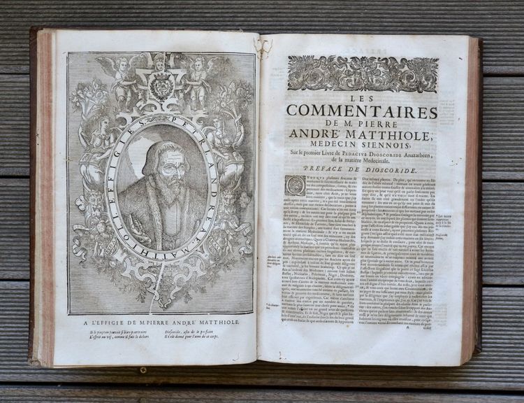 Les commentaires sur les dix livres de la matière médicinale de Peda-cius Dioscoride, Anazarbéen. Traduits de latin en françois, par M. An-toine du Pinet: et enrichis de nouveau d'un nombre considérable de figures; et augmentez tant de plusieurs remèdes à diverses sortes de maladies: comme aussi d'un traité de chymie en abrégé, pour l'ana-lyse, tant des végétaux que de quelques animaux & minéraux, par un docteur en médecine. Dernière édition, reveuë, corrigée & mise dans un meilleur langage: avec deux tables latine & françoise.