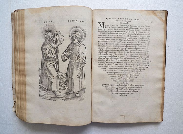 Experimentarius medicinae / Continens Trotulae curandarum aegritudinum muliebrium, ante, in, & post-partum lib. unicum, nusquam antea editum ... 