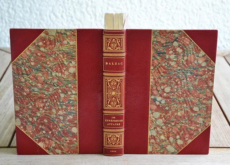 Une ténébreuse affaire. Nouvelle édition illustrée. - photo