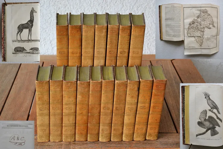 Œuvres complètes de Buffon, mises en ordre, précédées d’une notice sur la vie de l’auteur, et suivies d’un discours intitulé : Vue générale des progrès de plusieurs branches des sciences naturelles depuis le milieu du dernier siècle.
Nouvelle édition, ornée de nouvelles et superbes figures.
[Suivi de] : Histoire naturelle des quadrupèdes ovipares, par M. le Comte de Lacépède. Suite et complément des œuvres de Buffon. - photo
