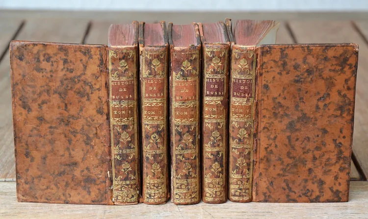 Histoire amoureuse des Gaules. - photo