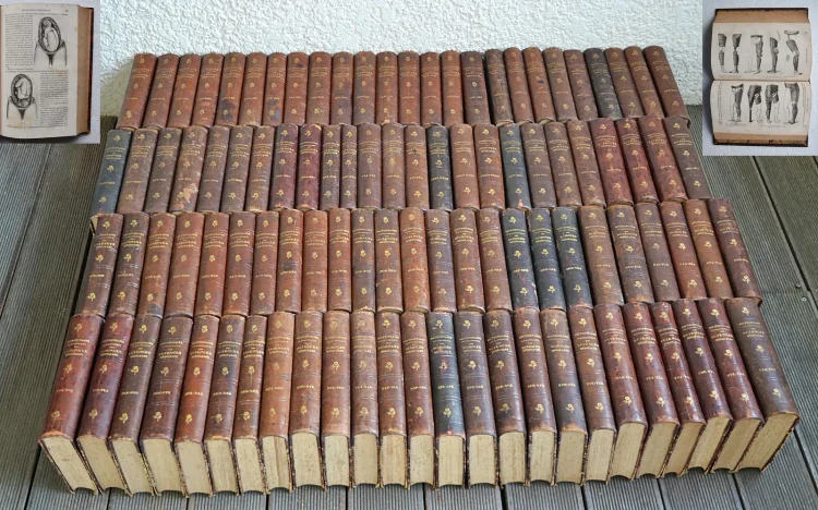 Dictionnaire encyclopédique des sciences médicales (…). - photo