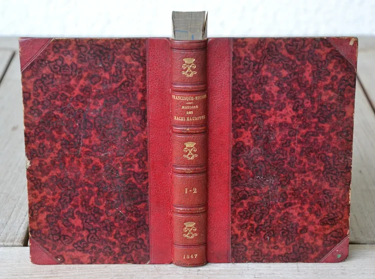 Histoire des races maudites de la France et de l’Espagne. - photo