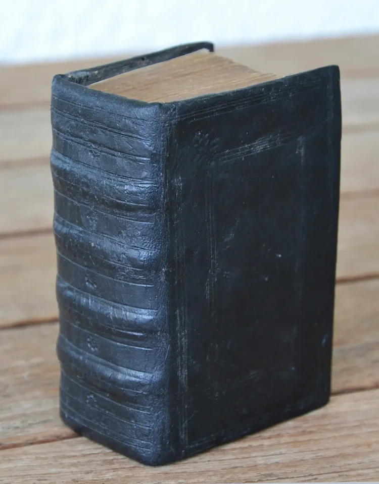 Les quatre livres des institutions forenses, ou autrement pratique judiciaire, de maistre Jean Imbert, licencié en droit : translatez en latin en françoys par le mesme autheur.
Avec une table judiciaire des choses principales de la matière. - photo