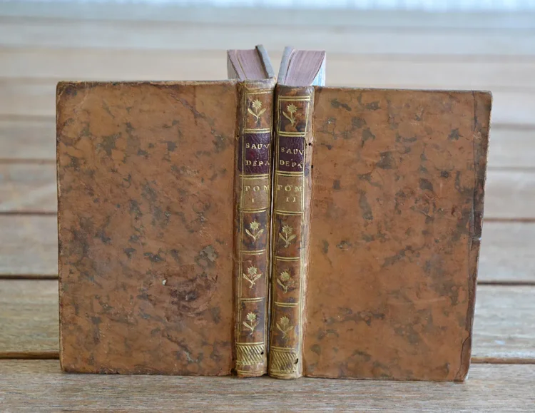 Lettres d’un sauvage dépaysé, contenant une critique des mœurs du siècle, & des réflexions sur les matières de religion & de politique. - photo