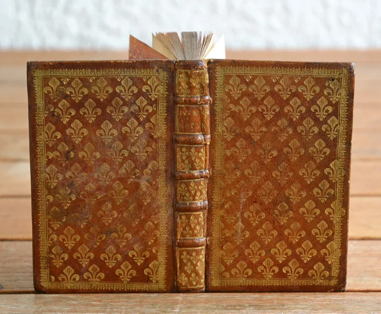 Satyrae, cum annotat. Th. Farnabii. - photo