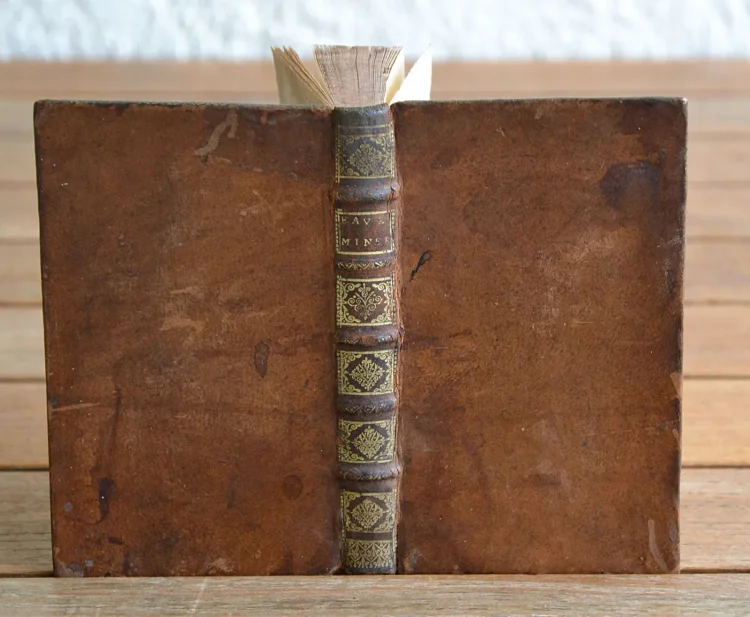 Nouveau système des eaux minérales de forges, où l’on découvre par plusieurs expériences quelle est la nature de ces eaux, & à quelles maladies elles conviennent.
Avec plusieurs observations de personnes qui ont été guéries par leur usage. - photo