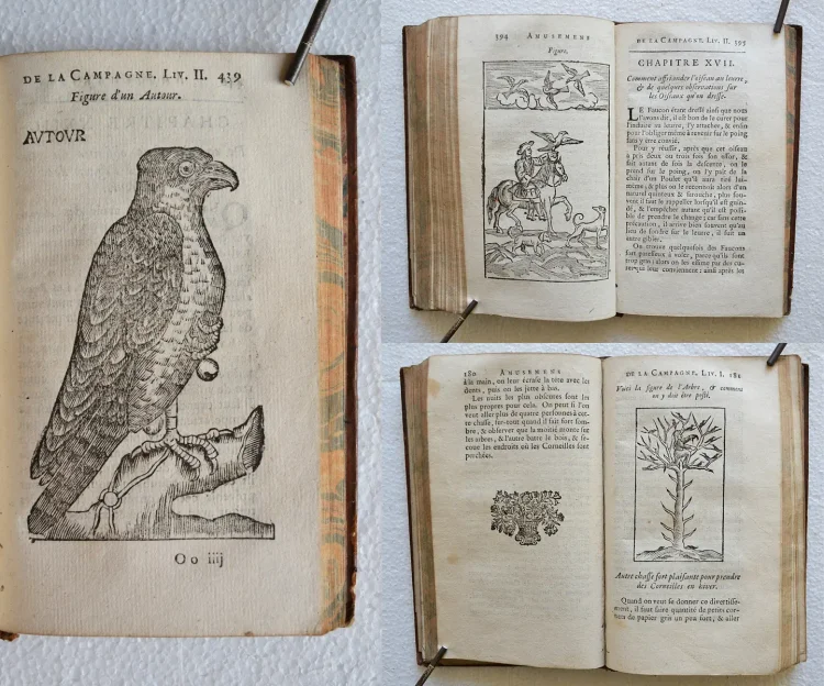 Amusemens de la campagne, ou nouvelles ruses innocentes, qui enseignent la manière de prendre aux pièges toutes sortes d’oiseaux & de bêtes à quatre pieds (…).
Tome premier. - photo