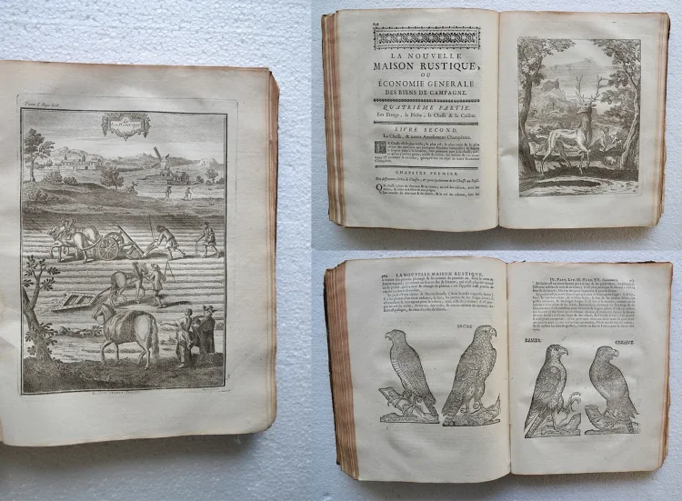 La nouvelle maison rustique, ou économie générale de tous les biens de campagne : la manière de les entretenir & de les multiplier.
Sixième édition, augmentée considérablement, & mise en meilleur ordre ; avec la vertu des simples, l’apoticairerie, & les décisions du Droit François sur les matières rurales ; et enrichie de figures en taille-douce. - photo