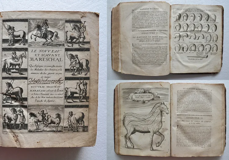 Le nouveau et sçavant mareschal, dans lequel est traité de la composition de la nature, des qualitez, perfections, & défauts des chevaux. Plus les signes de toutes les maladies & blessures qui leur peuvent arriver, avec la méthode de les guérir parfaitement (…).
L’anatomie du corps du cheval avec les figures. Un nouveau traité du haras, qui enseigne le moyen d’élever de très beaux & bons chevaux (…).
Les ruses que les marchands de chevaux employent pour cacher les défauts que peut avoir un cheval qu’ils exposent en vente & le moyen de les découvrir.
Un excellent traité pour bien ferrer & rétablir les méchants pieds, & conserver les bons (…).
La représentation & les usages des instruments, desquels on se sert dans les opérations mentionnées en cet ouvrage.
Traduit du célèbre Markam gentilhomme anglois par le sieur de Foubert, escuyer du Roy (…). - photo