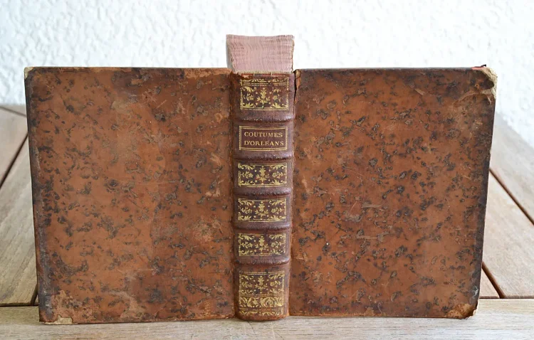 Coutumes des Duché, Bailliage et Prévôté d’Orléans, et ressort d’iceux ; avec une introduction générale aux dites coutumes, & des introductions particulières à la tête de chaque titre, corrigées & augmentées, dans lesquelles les principes des matières contenues dans le titre, sont exposés & développés.
Le texte est accompagné de notes. - photo