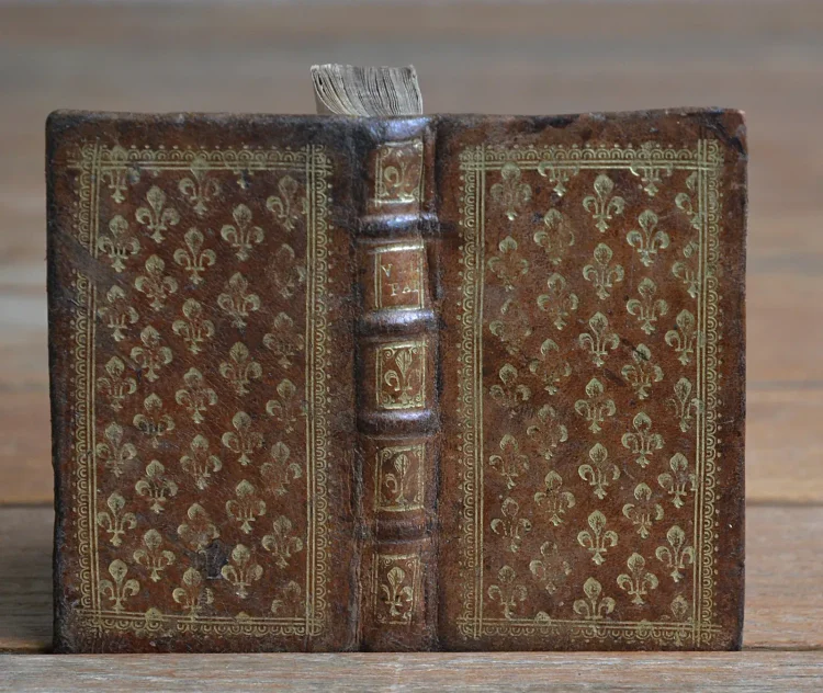 C. Velleii Paterculi historiae notis illustratae, quae ex lipsio, Vossio & aliis selectae sunt. - photo