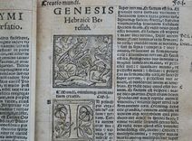 Biblia utriusque testamenti iuxta receptam, eamque emendatisssimam translationem, cum interpretationibus Graecarum, Hebraicarum, Chaldaicarumque, dictionum, indiceque rerum omnium copiosissimo. Recens omnia emendata - image 1