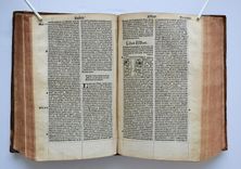 Biblia utriusque testamenti iuxta receptam, eamque emendatisssimam translationem, cum interpretationibus Graecarum, Hebraicarum, Chaldaicarumque, dictionum, indiceque rerum omnium copiosissimo. Recens omnia emendata - image 5