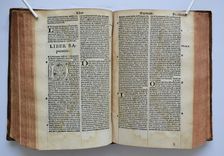Biblia utriusque testamenti iuxta receptam, eamque emendatisssimam translationem, cum interpretationibus Graecarum, Hebraicarum, Chaldaicarumque, dictionum, indiceque rerum omnium copiosissimo. Recens omnia emendata - image 6