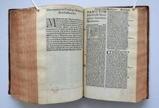 Biblia utriusque testamenti iuxta receptam, eamque emendatisssimam translationem, cum interpretationibus Graecarum, Hebraicarum, Chaldaicarumque, dictionum, indiceque rerum omnium copiosissimo. Recens omnia emendata - image 7