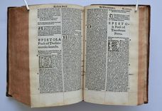 Biblia utriusque testamenti iuxta receptam, eamque emendatisssimam translationem, cum interpretationibus Graecarum, Hebraicarum, Chaldaicarumque, dictionum, indiceque rerum omnium copiosissimo. Recens omnia emendata - image 8