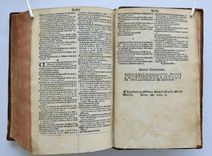 Biblia utriusque testamenti iuxta receptam, eamque emendatisssimam translationem, cum interpretationibus Graecarum, Hebraicarum, Chaldaicarumque, dictionum, indiceque rerum omnium copiosissimo. Recens omnia emendata - image 9
