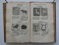 Le blason de France, ou notes curieuses sur l’édit concernant la police des armoiries. Dédié au Roy. - image 6