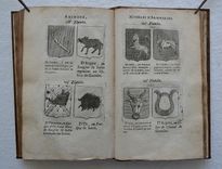 Le blason de France, ou notes curieuses sur l’édit concernant la police des armoiries. Dédié au Roy. - image 7