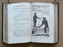 Histoire Naturelle de Buffon, classée par ordres, genres et espèces, d’après le système de Linné (...) - image 6