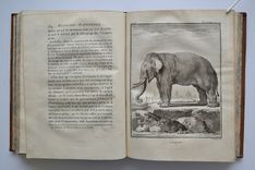 Œuvres complètes de M. de Buffon - image 6