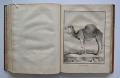 Œuvres complètes de M. de Buffon - image 5