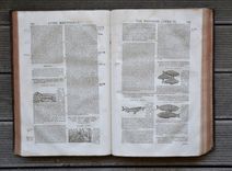 Les commentaires sur les dix livres de la matière médicinale de Peda-cius Dioscoride, Anazarbéen. Traduits de latin en françois, par M. An-toine du Pinet: et enrichis de nouveau d'un nombre considérable de figures; et augmentez tant de plusieurs remèdes à diverses sortes de maladies: comme aussi d'un traité de chymie en abrégé, pour l'ana-lyse, tant des végétaux que de quelques animaux & minéraux, par un docteur en médecine. Dernière édition, reveuë, corrigée & mise dans un meilleur langage: avec deux tables latine & françoise. - image 6
