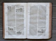 Les commentaires sur les dix livres de la matière médicinale de Peda-cius Dioscoride, Anazarbéen. Traduits de latin en françois, par M. An-toine du Pinet: et enrichis de nouveau d'un nombre considérable de figures; et augmentez tant de plusieurs remèdes à diverses sortes de maladies: comme aussi d'un traité de chymie en abrégé, pour l'ana-lyse, tant des végétaux que de quelques animaux & minéraux, par un docteur en médecine. Dernière édition, reveuë, corrigée & mise dans un meilleur langage: avec deux tables latine & françoise. - image 7