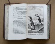Histoire Naturelle de Buffon, classée par ordres, genres et espèces, d’après le système de Linné (...) - image 8