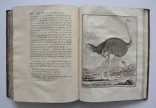 Œuvres complètes de M. de Buffon - image 11