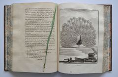 Œuvres complètes de M. de Buffon - image 10