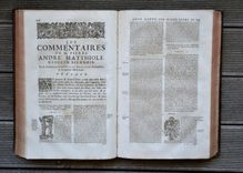 Les commentaires sur les dix livres de la matière médicinale de Peda-cius Dioscoride, Anazarbéen. Traduits de latin en françois, par M. An-toine du Pinet: et enrichis de nouveau d'un nombre considérable de figures; et augmentez tant de plusieurs remèdes à diverses sortes de maladies: comme aussi d'un traité de chymie en abrégé, pour l'ana-lyse, tant des végétaux que de quelques animaux & minéraux, par un docteur en médecine. Dernière édition, reveuë, corrigée & mise dans un meilleur langage: avec deux tables latine & françoise. - image 9
