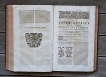 Les commentaires sur les dix livres de la matière médicinale de Peda-cius Dioscoride, Anazarbéen. Traduits de latin en françois, par M. An-toine du Pinet: et enrichis de nouveau d'un nombre considérable de figures; et augmentez tant de plusieurs remèdes à diverses sortes de maladies: comme aussi d'un traité de chymie en abrégé, pour l'ana-lyse, tant des végétaux que de quelques animaux & minéraux, par un docteur en médecine. Dernière édition, reveuë, corrigée & mise dans un meilleur langage: avec deux tables latine & françoise. - image 4
