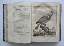 Œuvres complètes de M. de Buffon - image 12